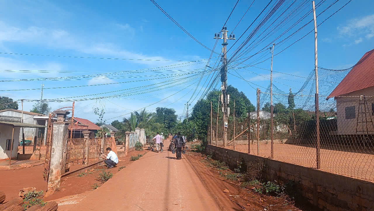 trồng cây 2